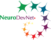 NeuroDevNet
